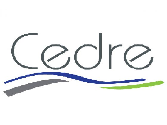 Webinaire du Cedre : Diagnostics portuaires