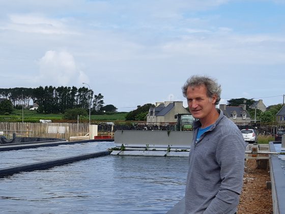 Specialising in abalone farming, France Haliotis invests in land-based seaweed farming