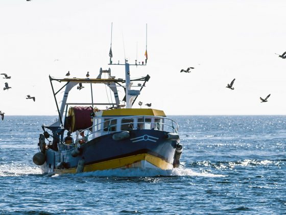 Etude prospective sur les filières pêches et aquacultures bretonnes à Horizon 2040