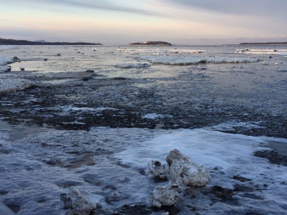 Appel à candidatures – Immersion économique à Rimouski (Québec), au cœur des sciences et technologies marines canadiennes