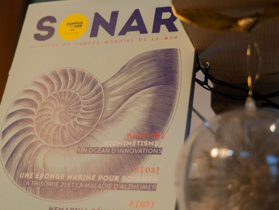 Le SONAR 9 est sorti : bioinspiration marine