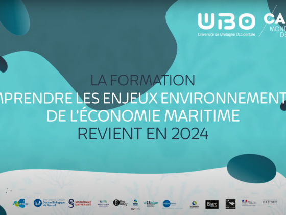 Formation Comprendre les enjeux environnementaux de l’économie maritime. Focus sur la session initiation