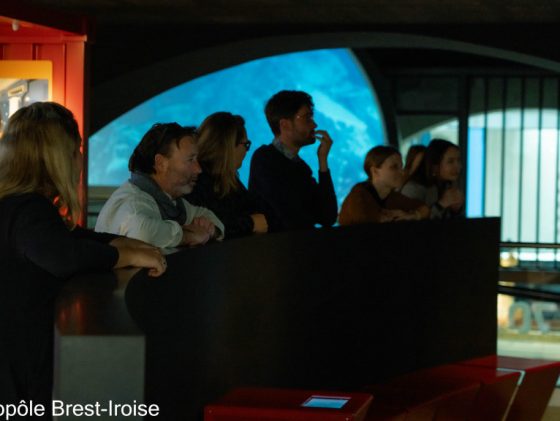 Narwhal Challenge 2025 : trois jours d’immersion au cœur de l’innovation maritime du Finistère