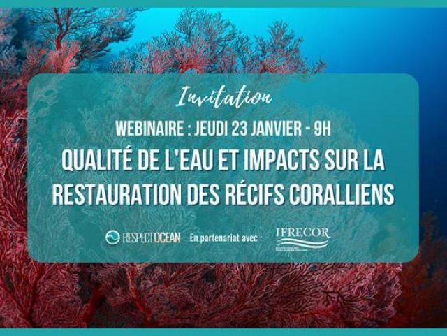 82 2025 83 01 janvier 2287 respectocean.jpg