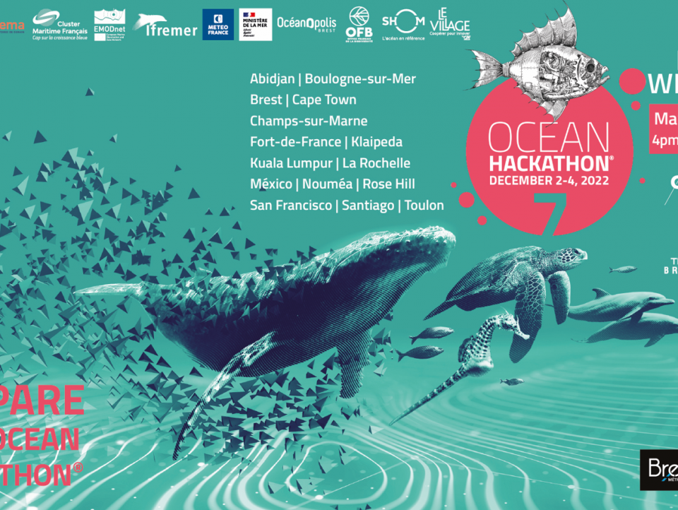 Webinar "Prepare your Ocean Hackathon®"