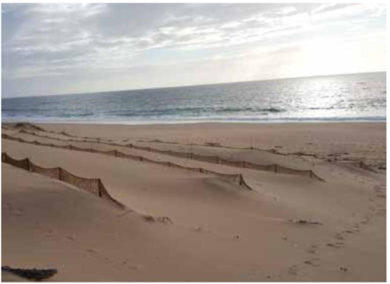 Conférence // Erosion côtière et submersion marine en Finistère : du constat à l'action !