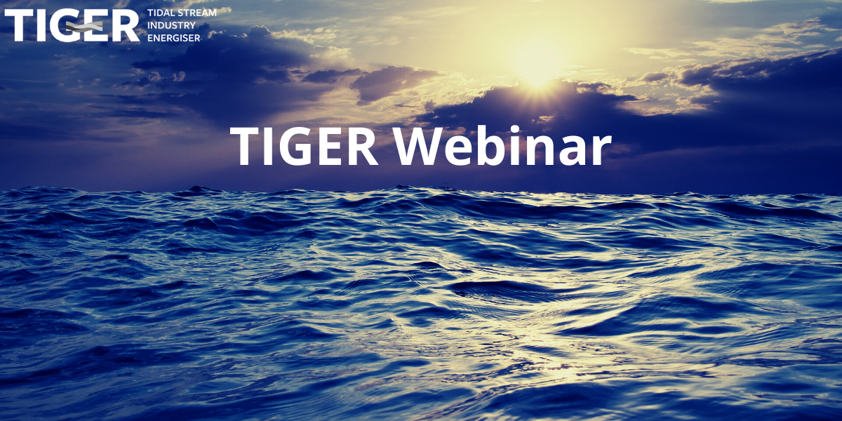 Tidal Stream Supply Chain – Meet the Buyer French webinar