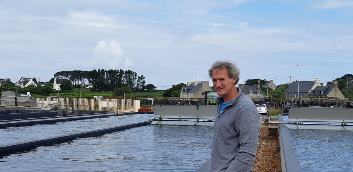 Specialising in abalone farming, France Haliotis invests in land-based seaweed farming