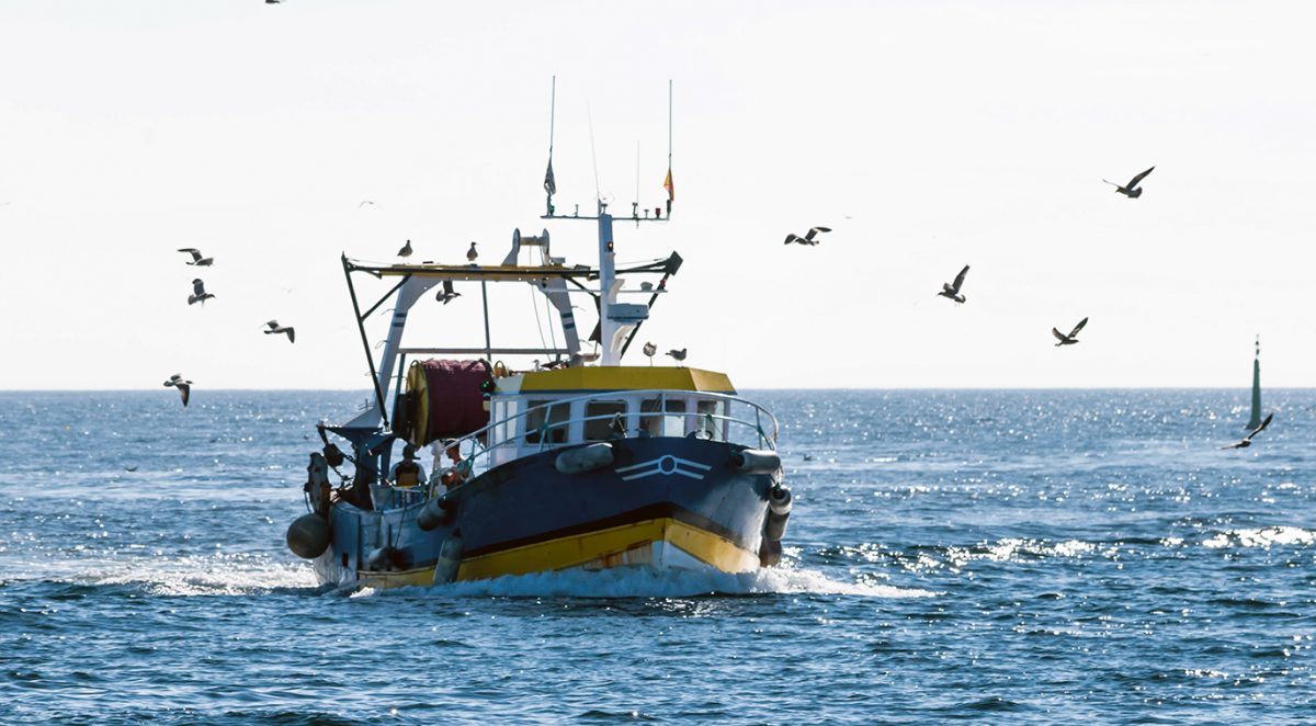Etude prospective sur les filières pêches et aquacultures bretonnes à Horizon 2040