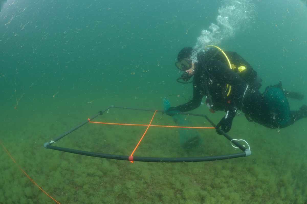 Conférence Ifremer : les grands enjeux de la recherche marine