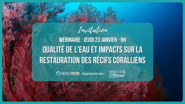 RespectOcean - Webinaire - "Qualité de l'eau et impacts sur la restauration des récifs coralliens"