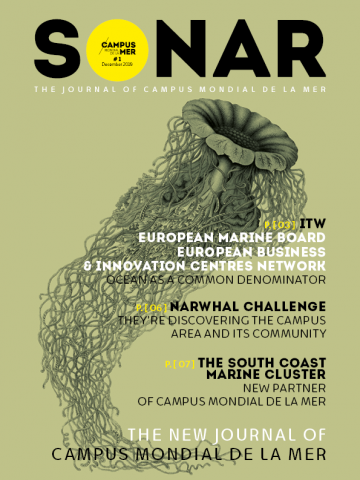 N 1 MAGAZINE SONAR EN.png