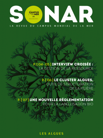 Sonar n°5 – Décembre 2021