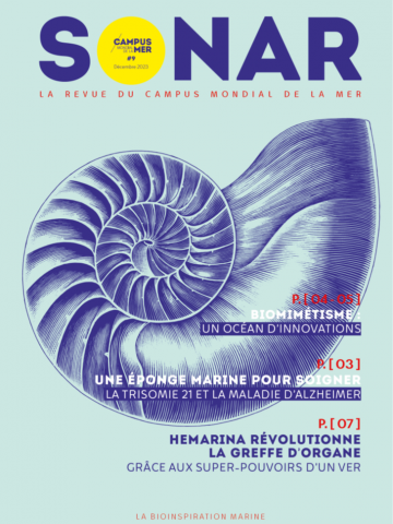 Sonar n°9 - décembre 2023