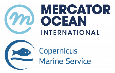 Mercator Ocean International