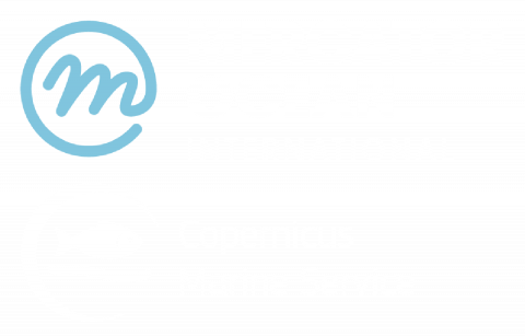 Mercator Ocean International