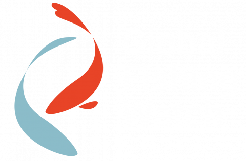 Global Fishing Watch