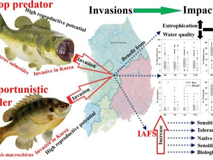 KUL07 - Advancing Detection Efforts: Safeguarding Ecosystems from Invasive Species