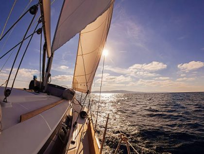 PLY03 - From sargassum seaweed to sustainable ship building