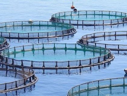 ABJ04:  Mapping of areas potentially suitable for marine aquaculture