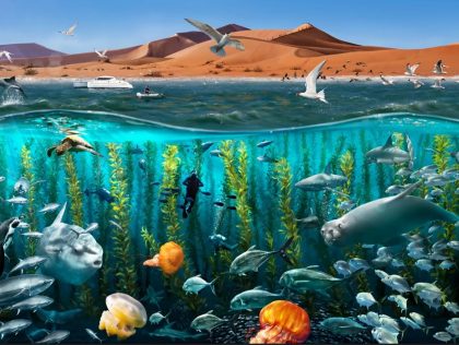 CAP03 - Re-wilding the Oceans - Kelp Farm Tycoon