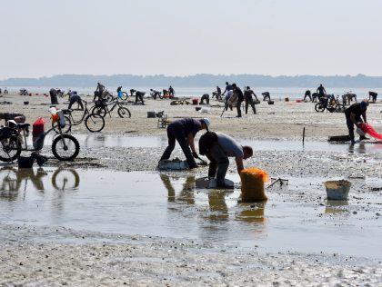 BOL08 : How can we ensure that recreational anglers in Hauts-de-France have up-to-date information on the regulations governing their activities? / Comment s'assurer que les usagers de la pêche à pied de loisir en Hauts-de-France disposent d'informations