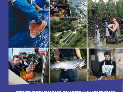 BOU01: The regional brand for aquatic products, a solution to perpetuate the industry