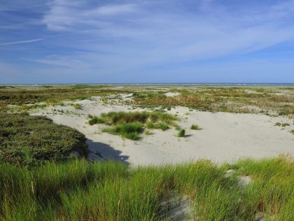 BOU04 - Providing scientific knowledge on coastal and marine environment in Hauts-de-France region BOU04 - Providing scientific knowledge on coastal and marine environment in Hauts-de-France region