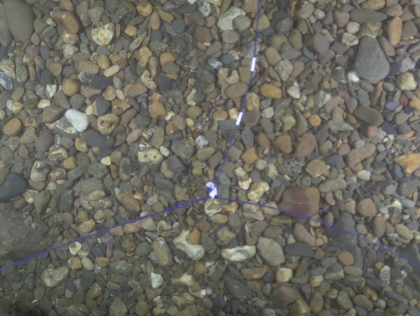 CHE03 : A tool for displaying and transmitting underwater images / Images au cœur de l'analyse de l'environnement marin