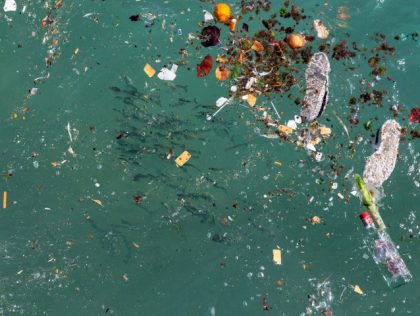 CAP01: PLASTIC2PURPOSE - Turn Waste into Insight & Opportunity