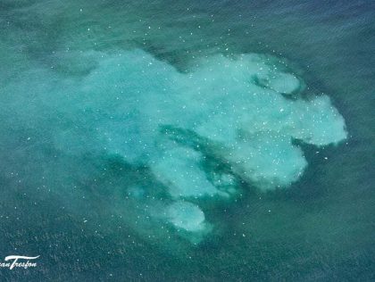 CAP01 - Citizen engagement and incentivized actions to protect marine ecosystems and combat pollution