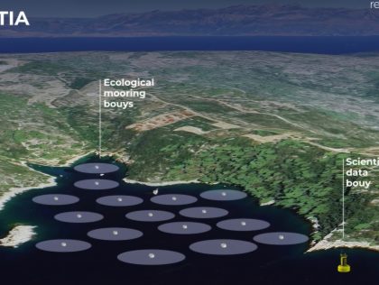 SPL02: Regeneration of sea, analyisis od data for asorbtion of Co2