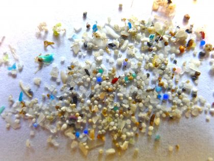 KUL02: Microplastics: The Ocean's (and Humanity's) Downfall
