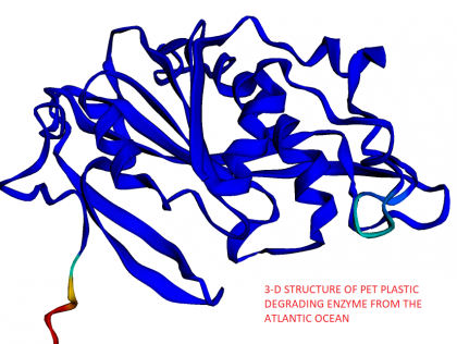 MEX01: Descubrimiento de enzimas de importancia industrial a partir de conjuntos de “omics” datos marinos" | Discovery of industrially important enzymes from marine omics datasets