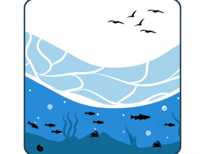 RIM03: Migration of certain species in the St. Lawrence River