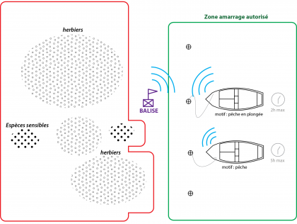 NOU05: GeoBoat and virtual buoys