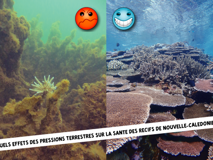 NOU06 - Land-sea continuum: exploring the link between reef health and land pressures