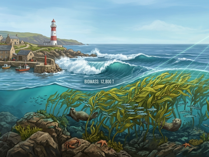 ORK02 Seeing the Invisible Shield: Valuing Coastal Habitats as Natural Infrastructure