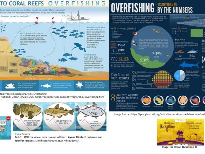 KUL02 - Digital Marine Fish Stocks: Distributed System for Monitoring Overfishing and Underfishing in Ocean