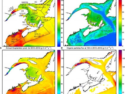 RIM02: Data under pressure: deciphering changes in the Gulf of St. Lawrence / Données sous pression: décrypter les changements du golfe du Saint-Laurent