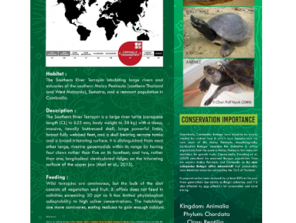 KUL04 - SeaSleuths: Exploring Marine Biodiversity with Interactive Citizen Science