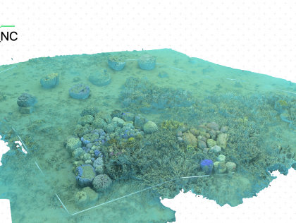 NOU03 - My virtual reef / Mon récif virtuel