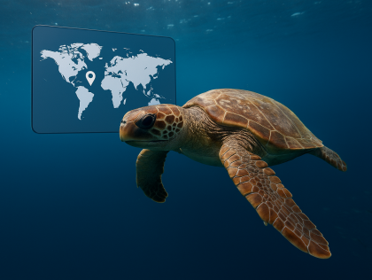 SAL03: New Sea Routes: Monitoring and Forecasting the Migration of Marine Species in Coastal Environments