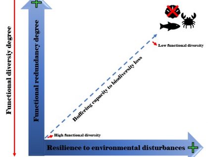SAT02: Hacia el abordaje de los metadatos ecológicos para la predicción de las respuestas funcionales de la biota marina  | Towards tacling ecological metadata for predictions of functional responses of marine biota