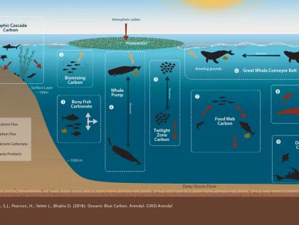 TOU10: Identify best places to deploy Marine Protected Areas in the mediterranean sea