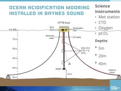 VIC02: Ocean Acidification Prediction Model