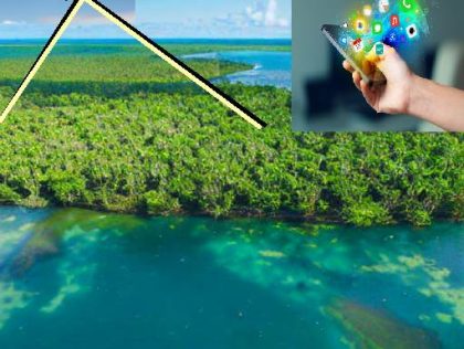 KUL10 - Drone analysis of mangrove species and basic health condition