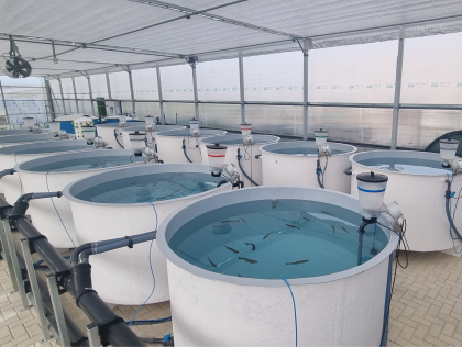PEN01: Sustainable upcycling of aquaculture nutrients into circular bio-based solutions