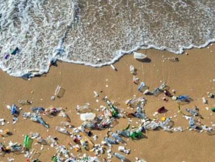 BOL06 - Creating an interactive digital tool to raise public awareness of microplastics / Créer un outil numérique et interactif pour sensibiliser le grand public au sujet des microplastiques