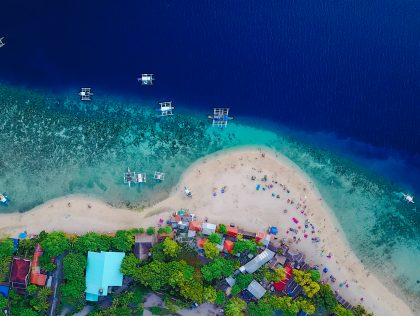 KUL05 - Watch out! An app to look after marine biodiversity, together